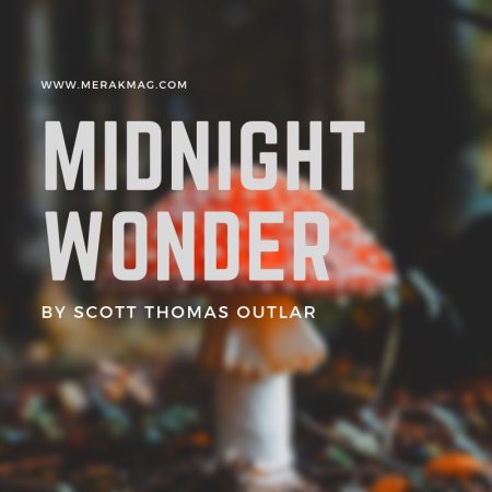 Midnight Wonder - Merak Magazine