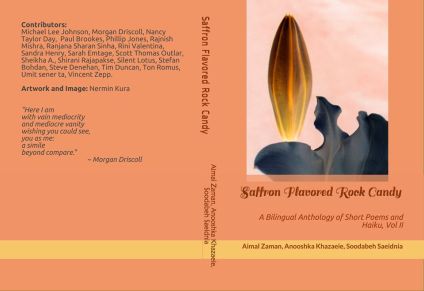 Saffron Flavored Rock Candy vol 2 cover